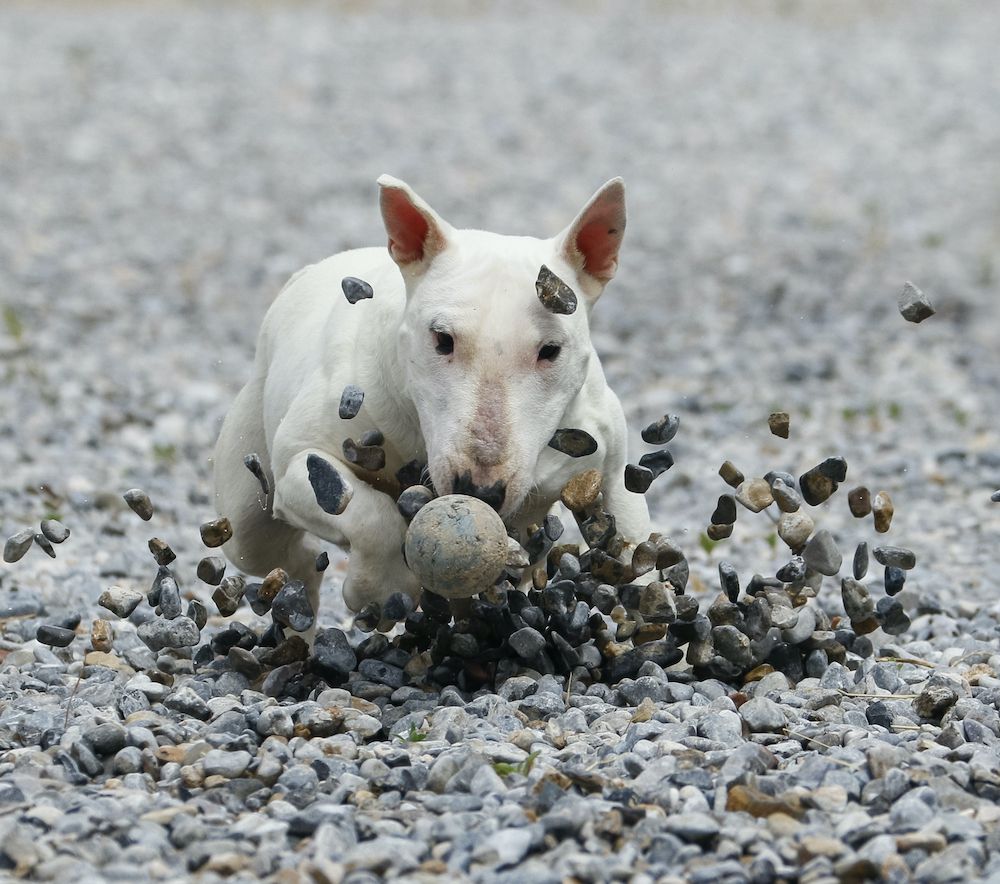 Learning About Cystinuria